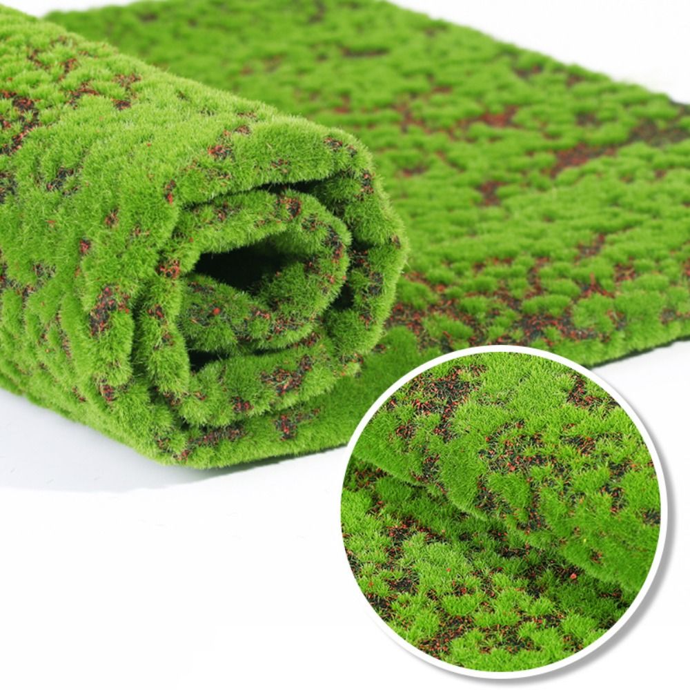 عشب صناعي من الطحالب قابل للتر - مراجعة Sphagnum Moss Dry وسعره