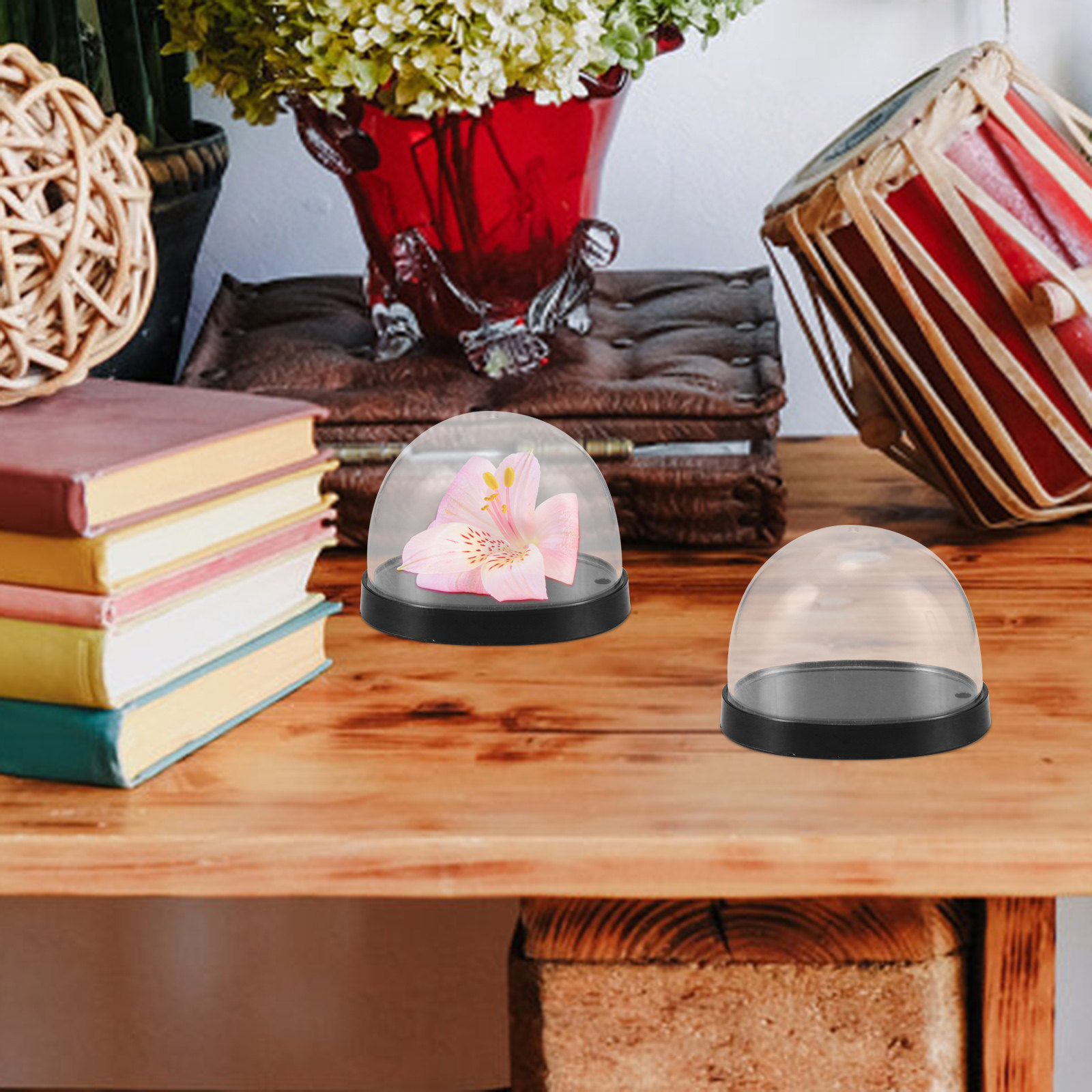 5 مجموعات من قباب البلاستيك ال - مراجعة Plastic Dome Clear وسعره