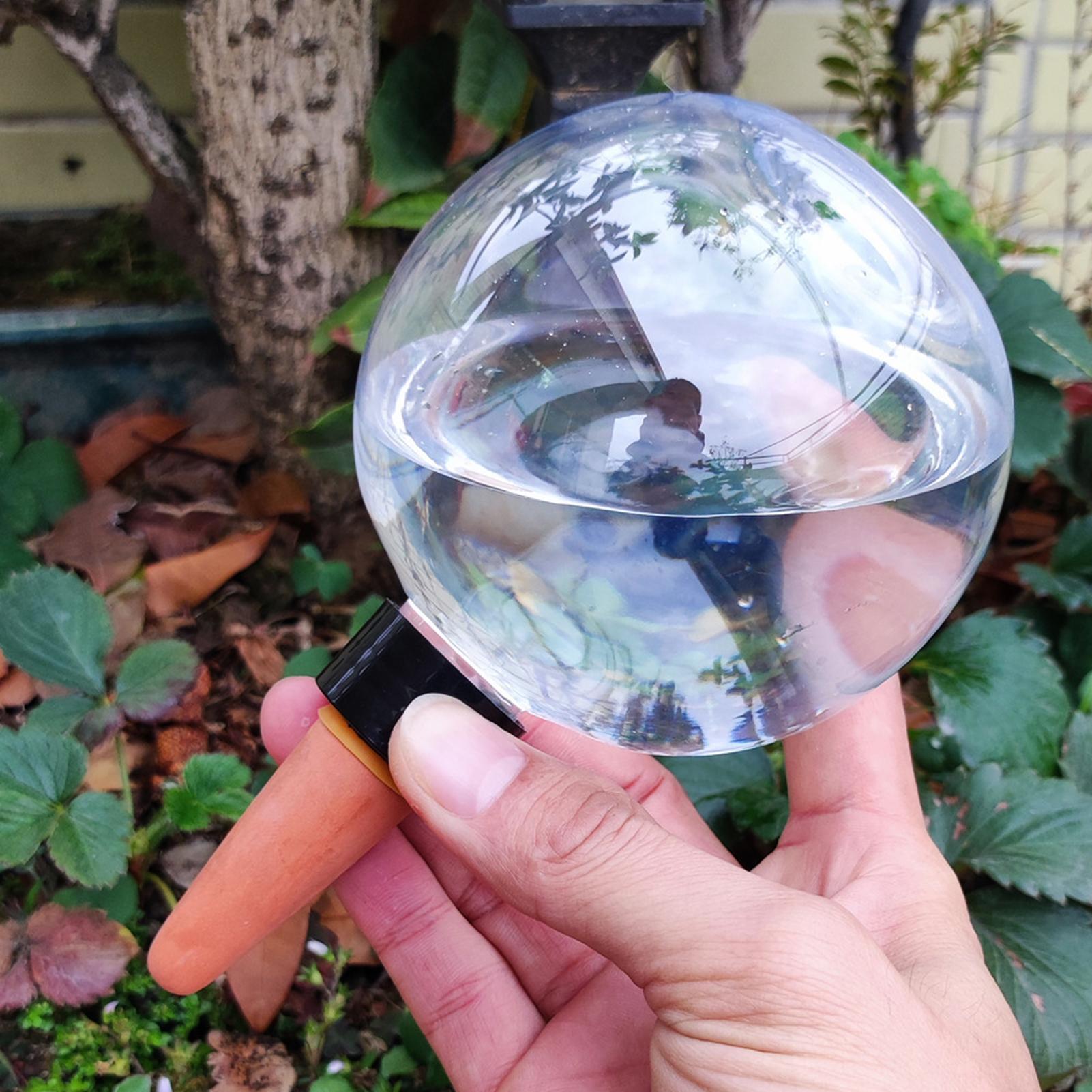 500 مللي كرات سقي أوتوماتيكية  - مراجعة Self Watering Insert وسعره