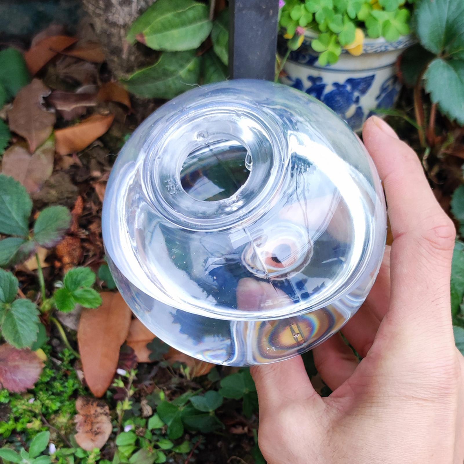 500 مللي كرات سقي أوتوماتيكية  - مراجعة Self Watering Insert وسعره