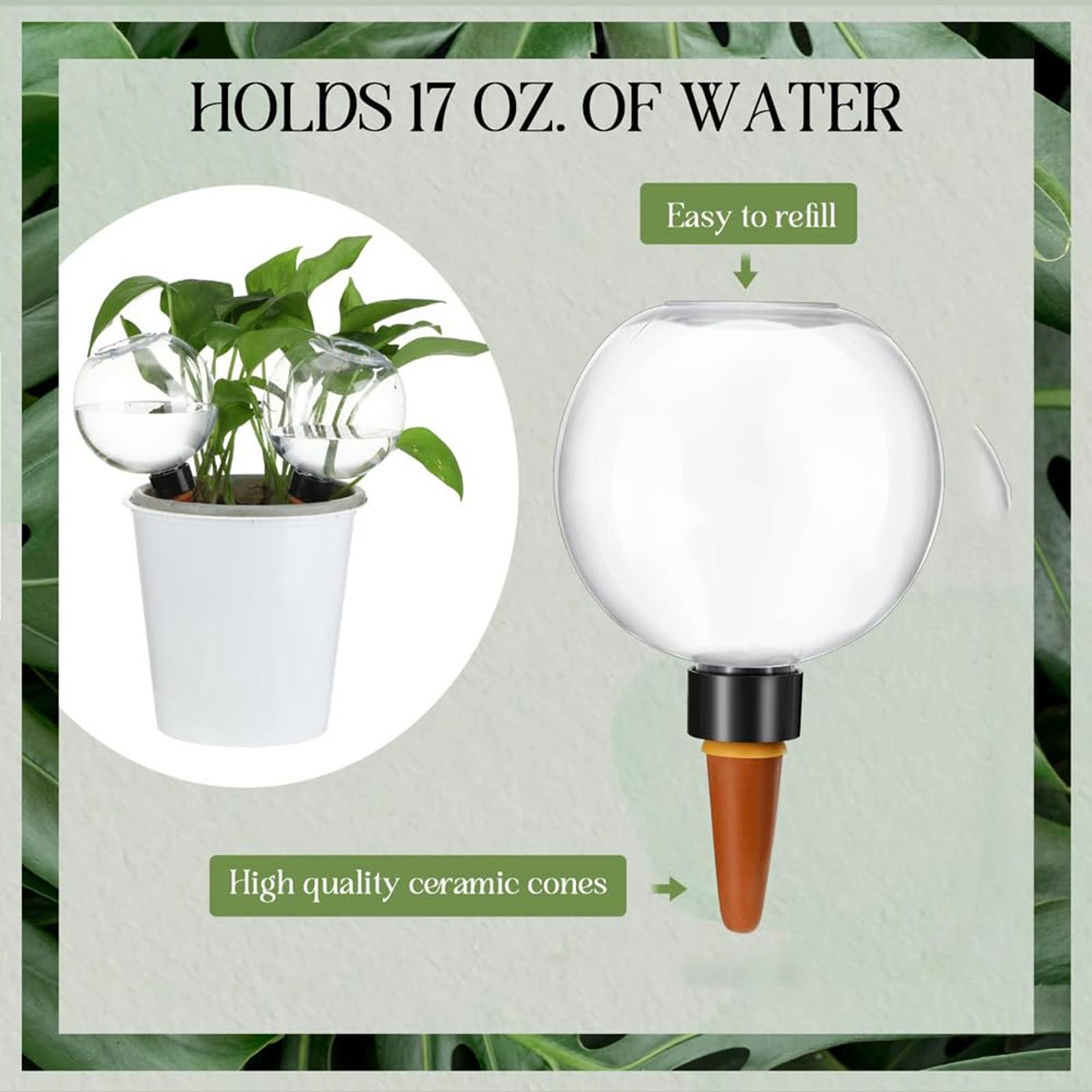 500 مللي كرات سقي أوتوماتيكية  - مراجعة Self Watering Insert وسعره