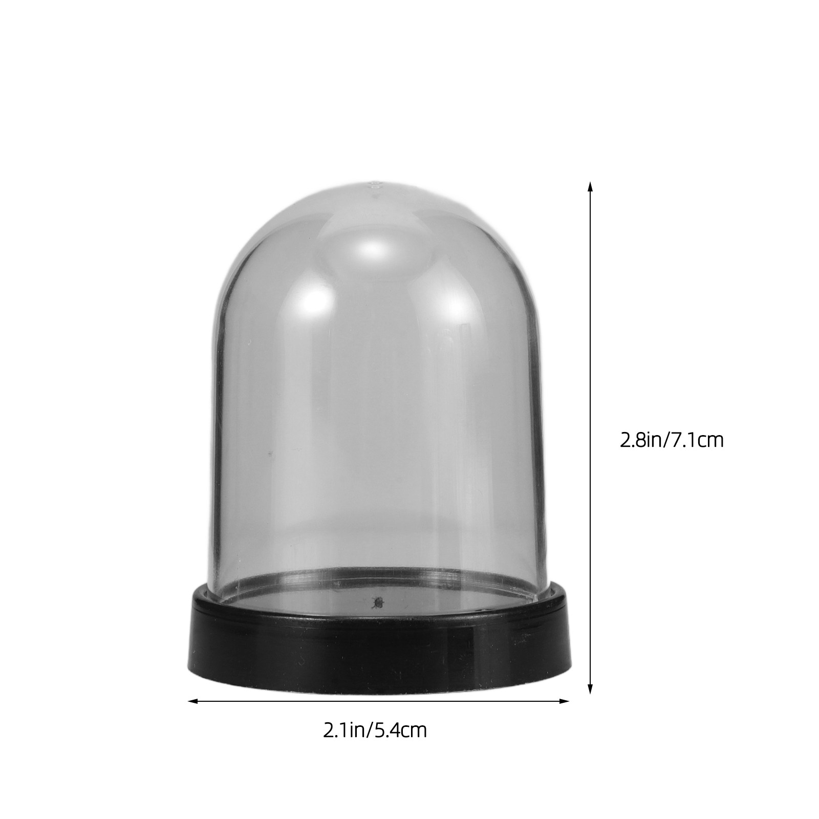 5 مجموعات من حاويات العرض البل - مراجعة Plastic Dome Clear وسعره
