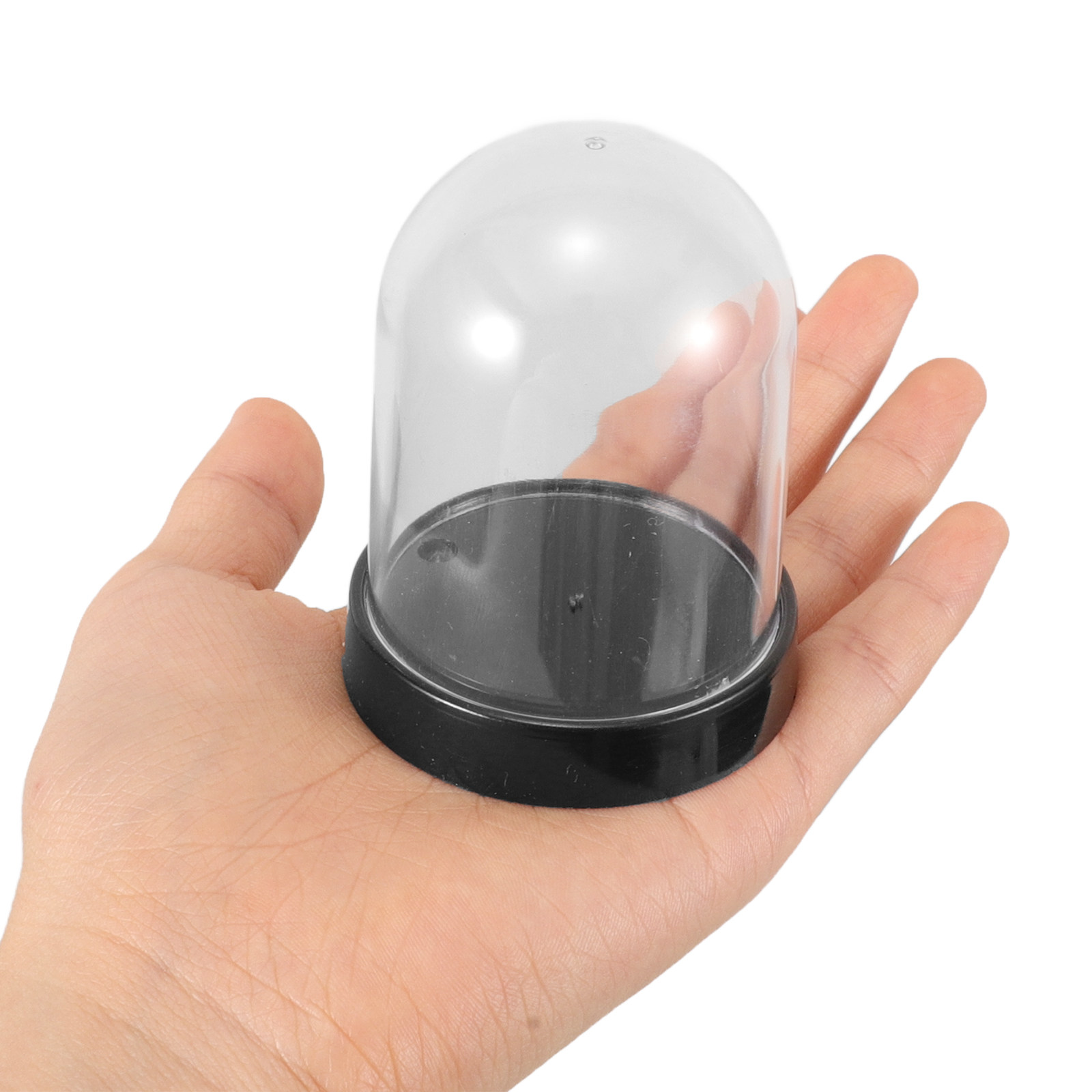 5 مجموعات من حاويات العرض البل - مراجعة Plastic Dome Clear وسعره
