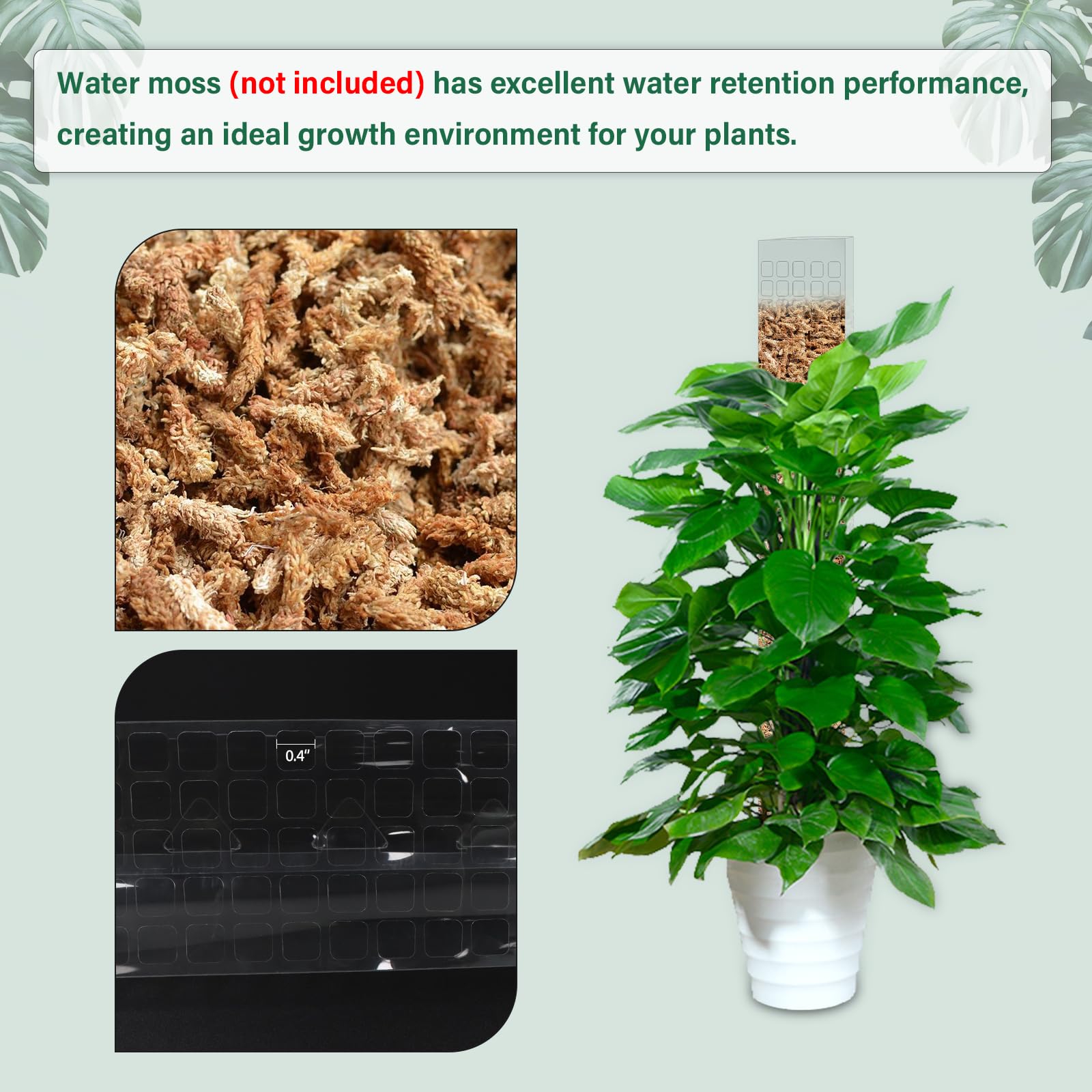 عمود طحلب بلاستيكي داخلي لدعم  - مراجعة Sphagnum Moss Dry وسعره