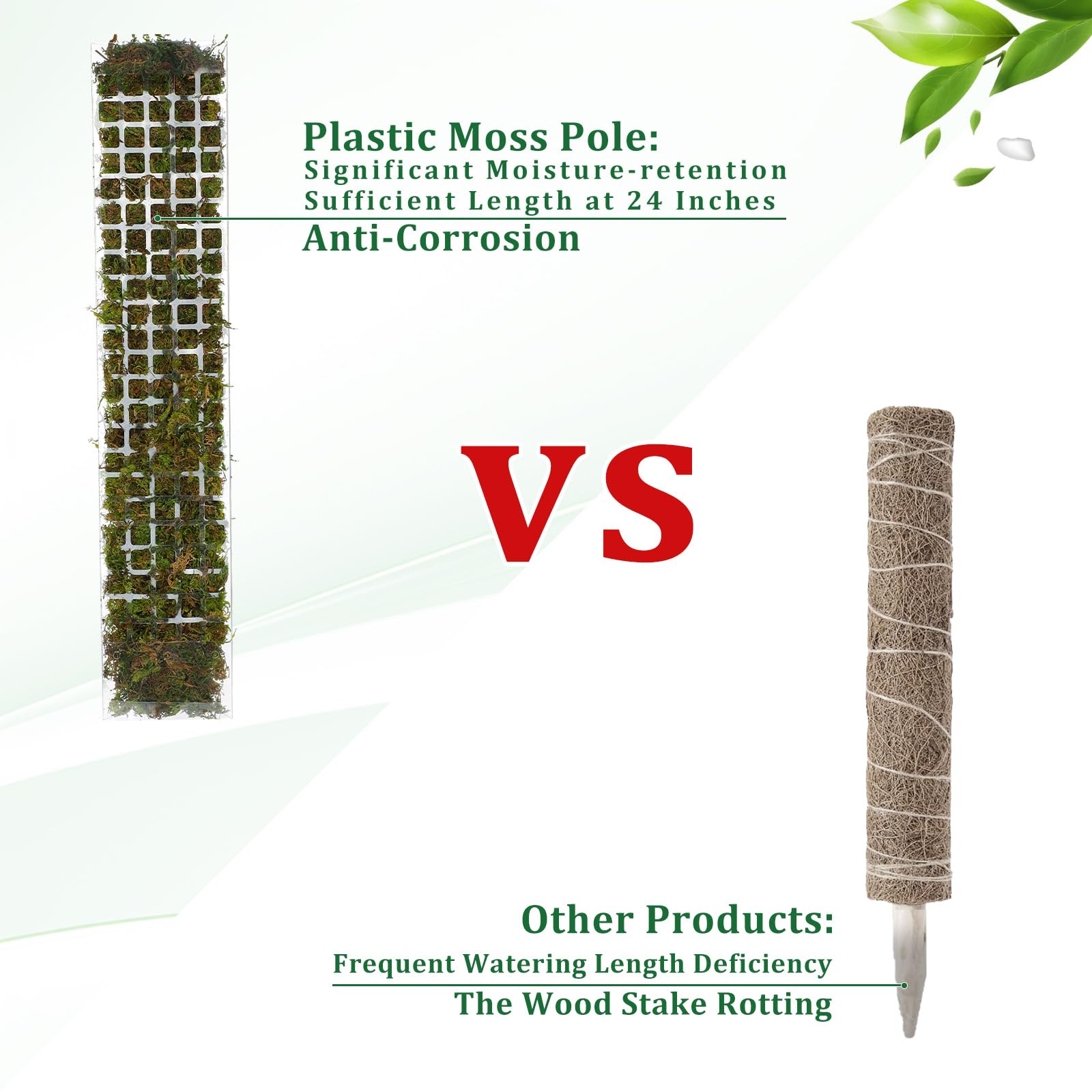 عمود طحلب بلاستيكي داخلي لدعم  - مراجعة Sphagnum Moss Dry وسعره