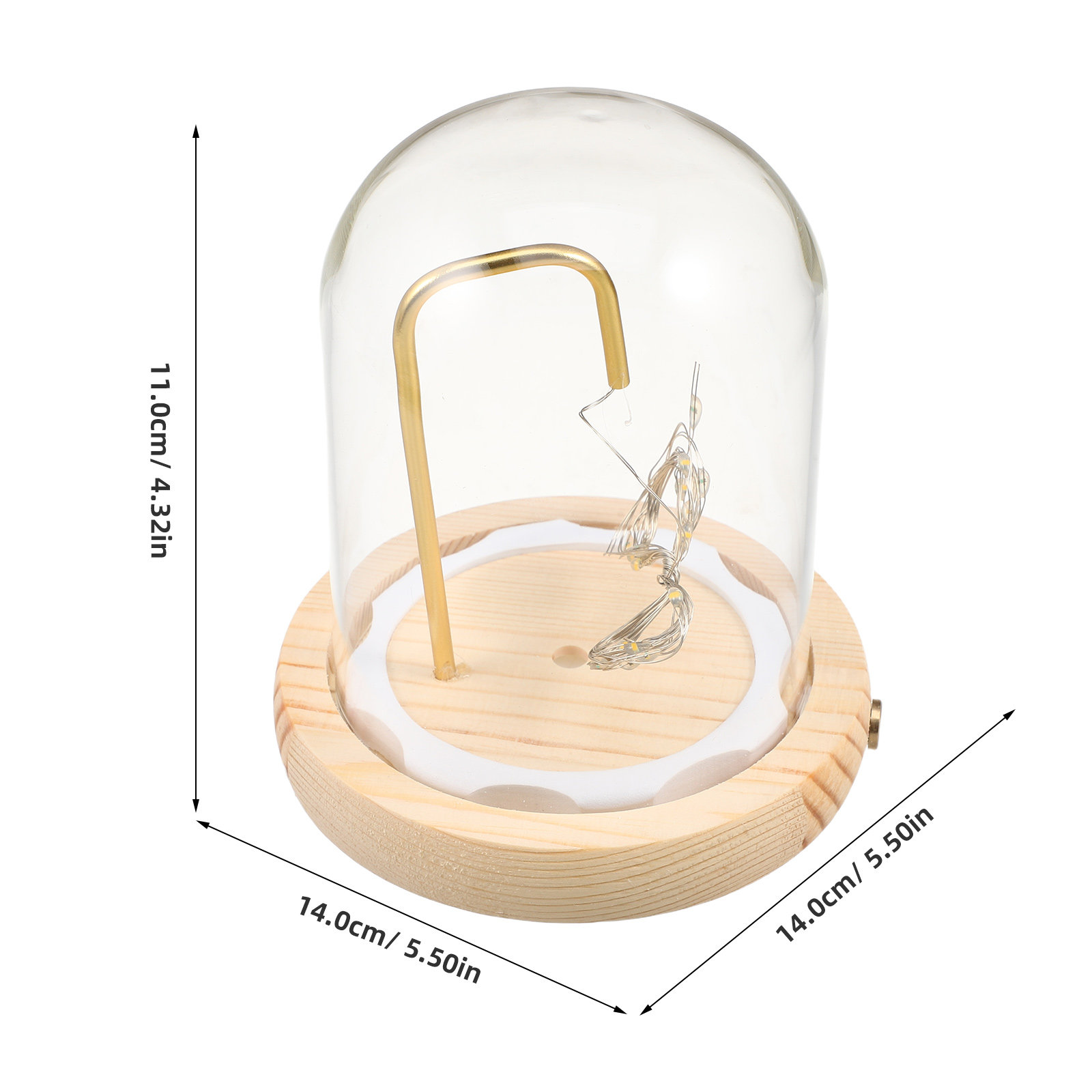 قبة عرض زجاجية بقاعدة خشبية وإ - مراجعة Plastic Dome Clear وسعره