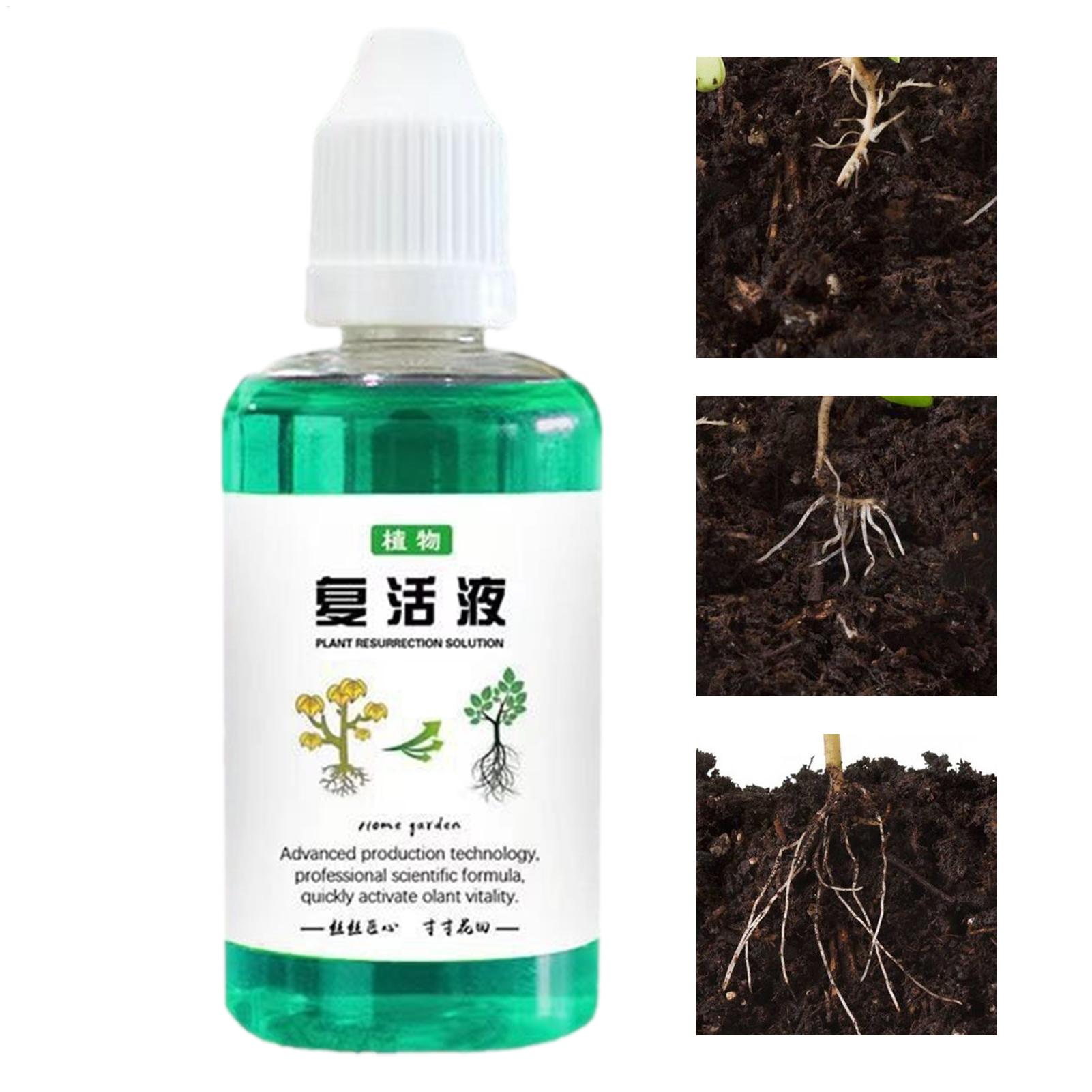 محفز جذور النباتات 50 مل، معزز - مراجعة Root Stimulator Liquid وسعره