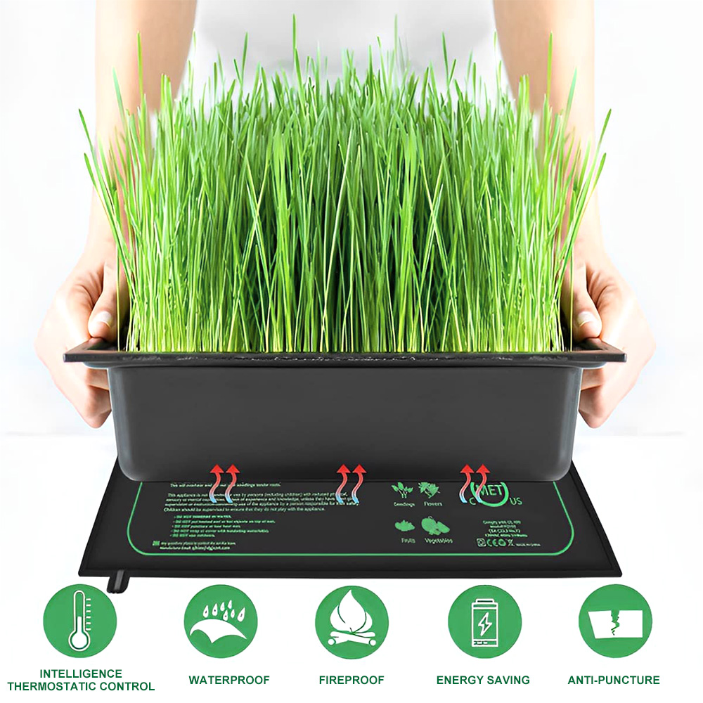 10/25/50 سنتيمتر الشتلات الحرا - مراجعة Rooting Gel Clone وسعره